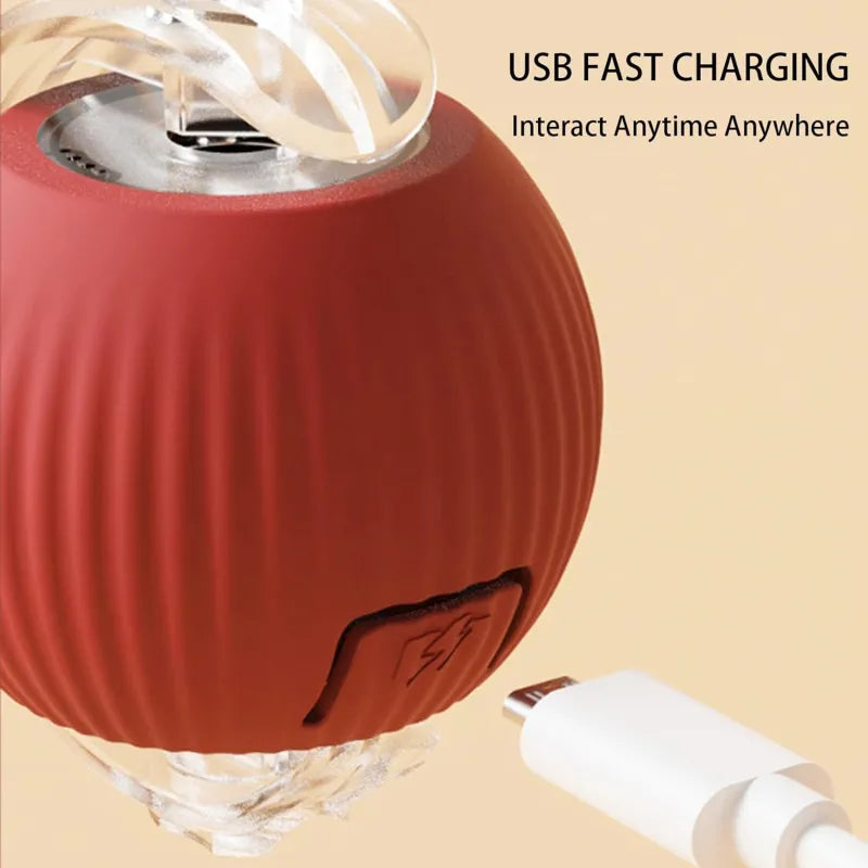 Ultimate 360° Smart Pet Ball – Self-Rolling Toy for Cats & Dogs