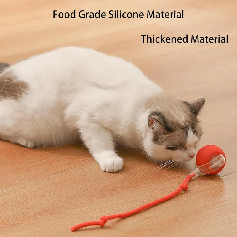 Ultimate 360° Smart Pet Ball – Self-Rolling Toy for Cats & Dogs