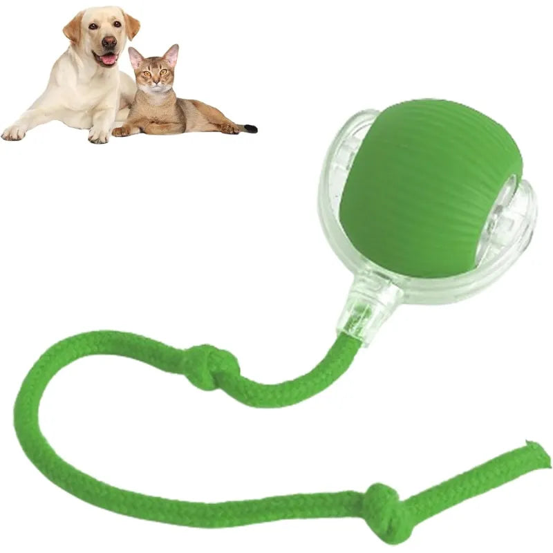 Ultimate 360° Smart Pet Ball – Self-Rolling Toy for Cats & Dogs