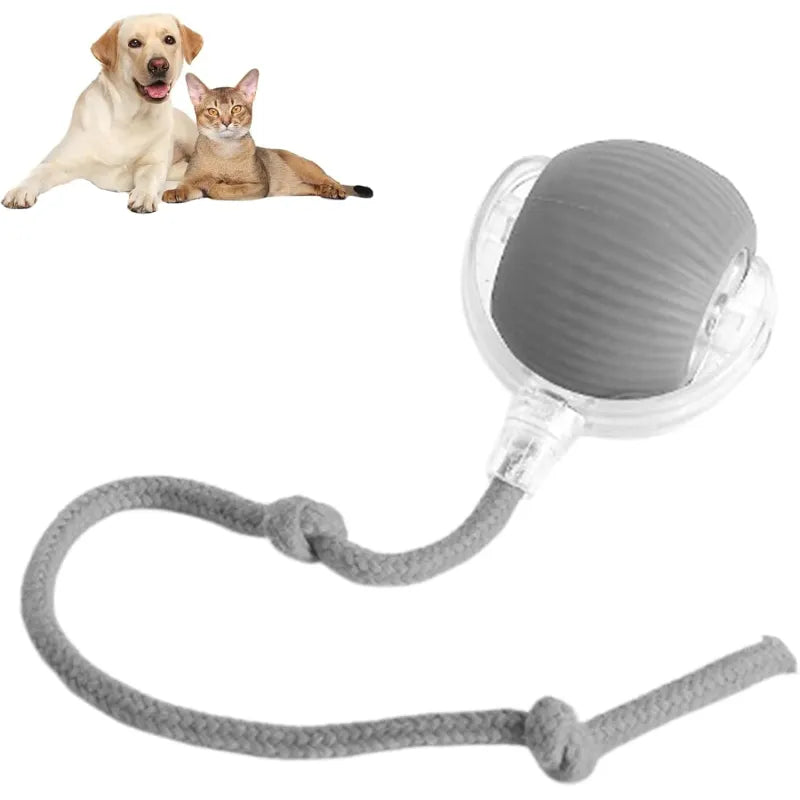 Ultimate 360° Smart Pet Ball – Self-Rolling Toy for Cats & Dogs
