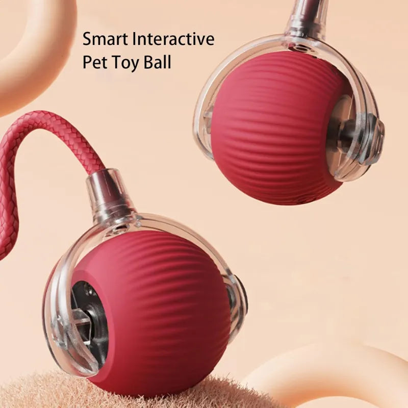 Ultimate 360° Smart Pet Ball – Self-Rolling Toy for Cats & Dogs