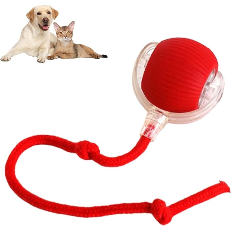 Ultimate 360° Smart Pet Ball – Self-Rolling Toy for Cats & Dogs